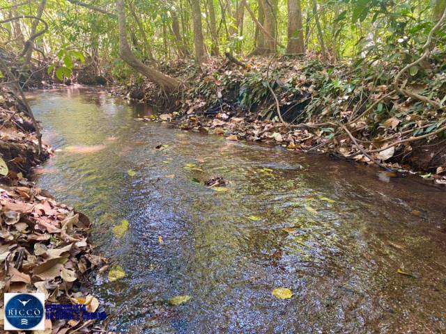 Chácara para Venda em Bela Vista de Goiás - 4