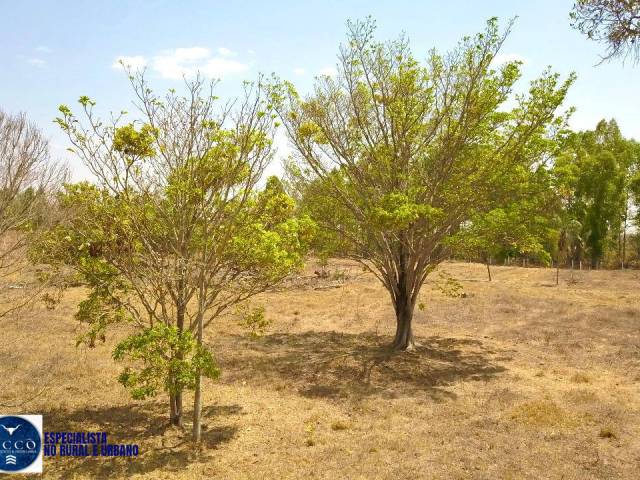 Chácara para Venda em Bela Vista de Goiás - 5