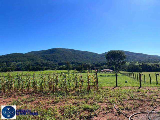 #4148 - Chácara para Venda em Pirenópolis - GO