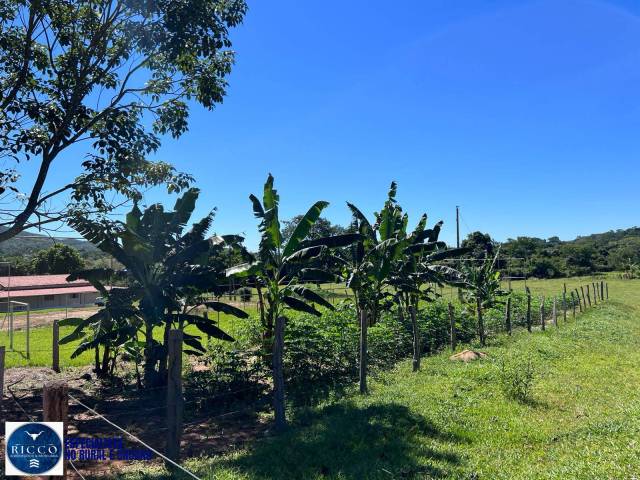 Chácara para Venda em Pirenópolis - 4