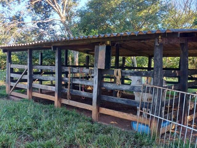 #4149 - Chácara para Venda em São Francisco de Goiás - GO