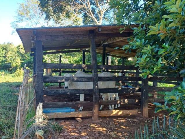 Chácara para Venda em São Francisco de Goiás - 4
