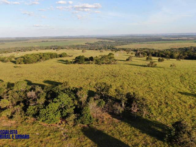 #4151 - Fazenda para Venda em Doverlândia - GO