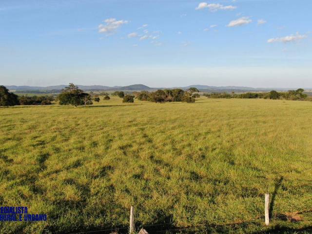 Fazenda para Venda em Doverlândia - 4