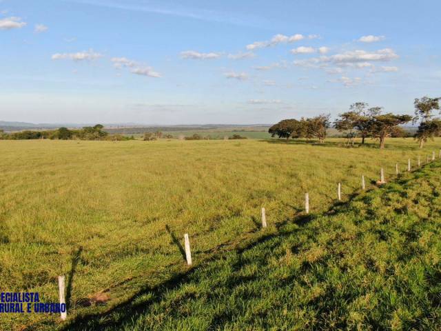 Fazenda para Venda em Doverlândia - 5