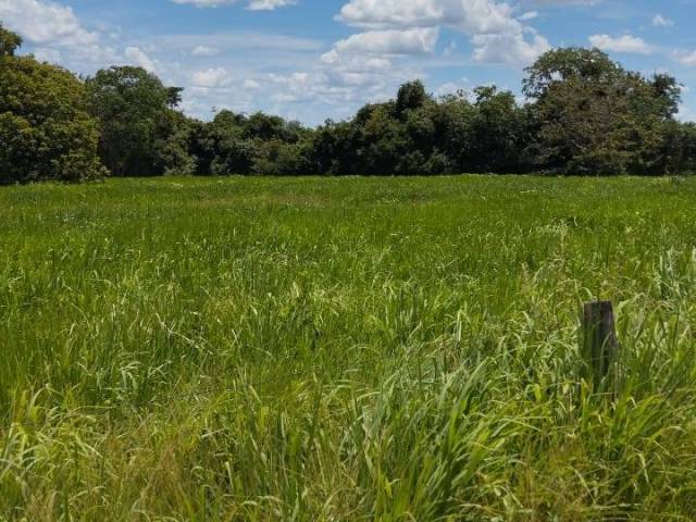 Venda em Zona rural - Porangatu