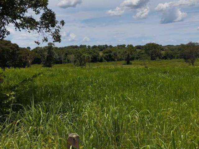 #4152 - Fazenda para Venda em Porangatu - GO