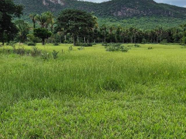 #4152 - Fazenda para Venda em Porangatu - GO