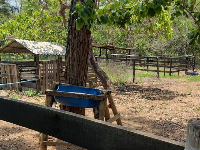 #4160 - Chácara para Venda em Pirenópolis - GO