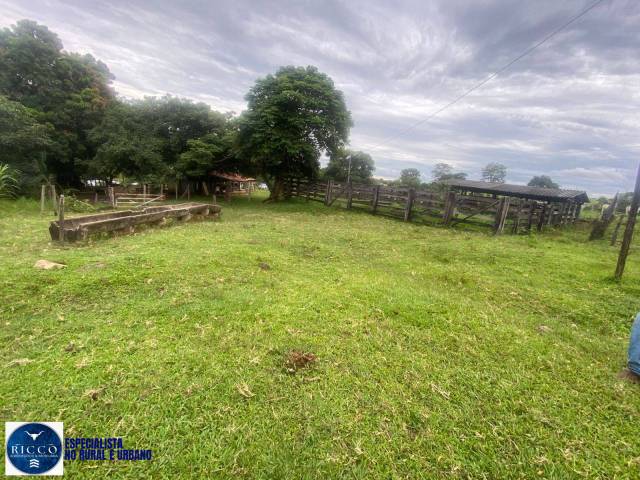 #4163 - Chácara para Venda em Taquaral de Goiás - GO