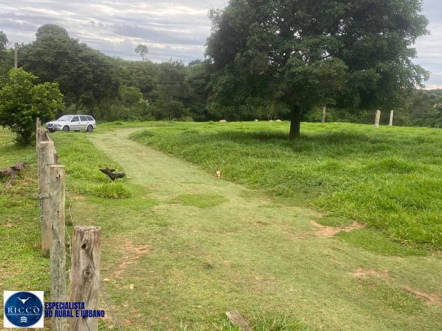 Chácara para Venda em Taquaral de Goiás - 4