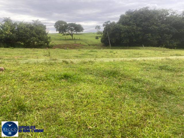 Chácara para Venda em Taquaral de Goiás - 5