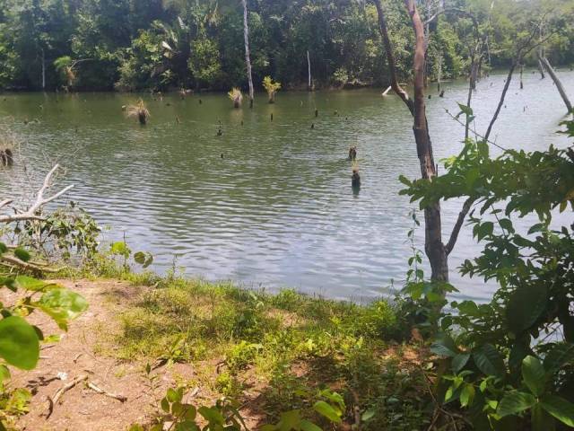 Chácara para Venda em Cavalcante - 4