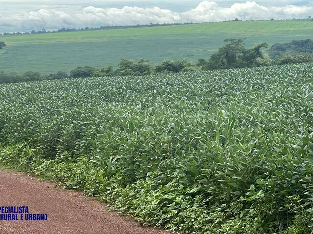 Venda em zona rural - Iporá