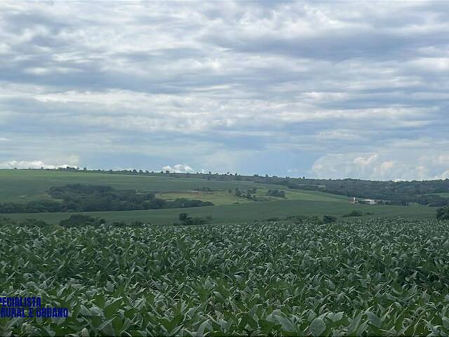 #4170 - Fazenda para Venda em Iporá - GO