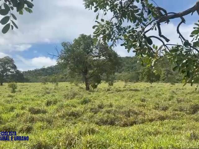 #4171 - Fazenda para Venda em Iporá - GO