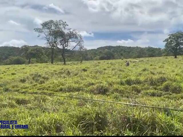 Fazenda para Venda em Iporá - 4