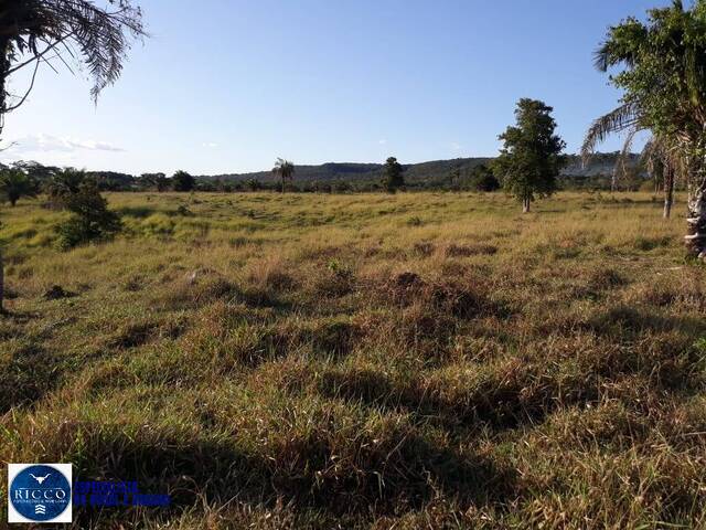 Fazenda para Venda em Iporá - 4
