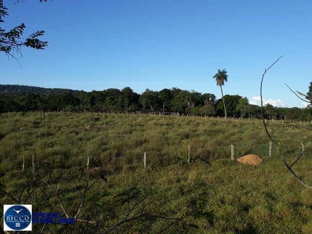 Fazenda para Venda em Iporá - 5