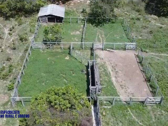 #4175 - Fazenda para Venda em Paranã - TO