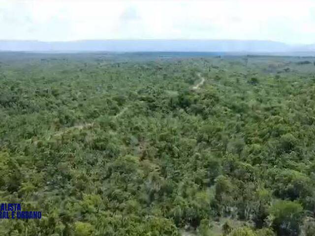 #4175 - Fazenda para Venda em Paranã - TO