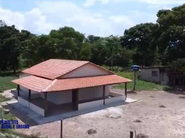 Fazenda para Venda em Paranã - 4