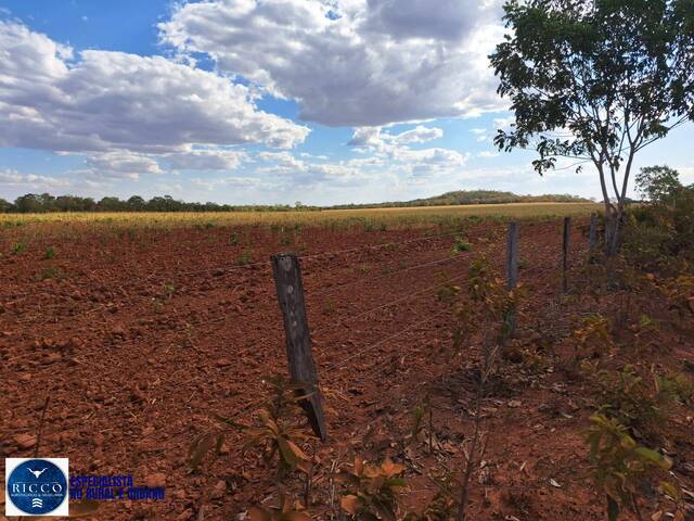 #4176 - Fazenda para Venda em Araguaçu - TO