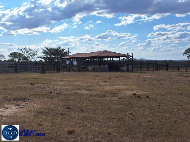 #4176 - Fazenda para Venda em Araguaçu - TO