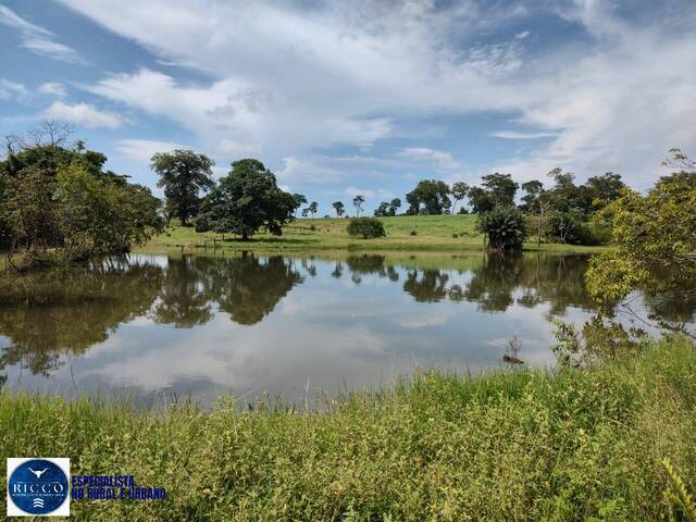 Fazenda para Venda em Araguaçu - 4