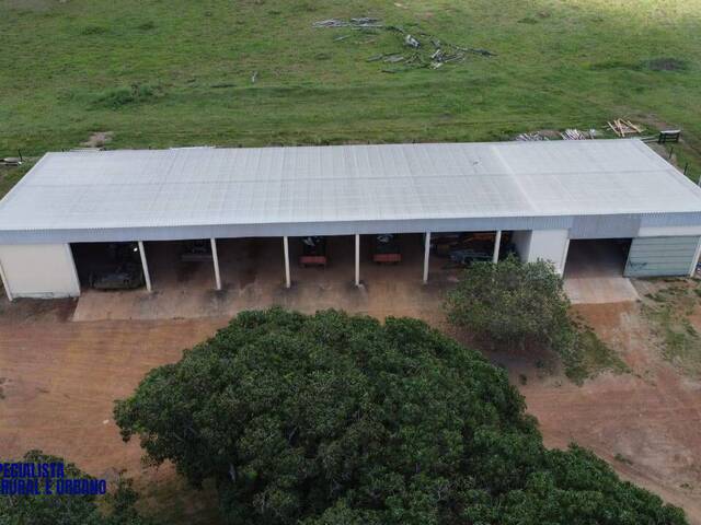 Fazenda para Venda em Araguaçu - 5