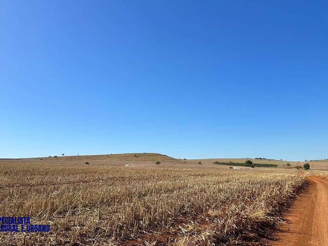 #4178 - Fazenda para Venda em Corumbá de Goiás - GO