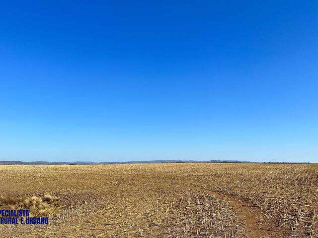 Fazenda para Venda em Corumbá de Goiás - 4