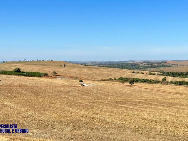 Fazenda para Venda em Corumbá de Goiás - 5