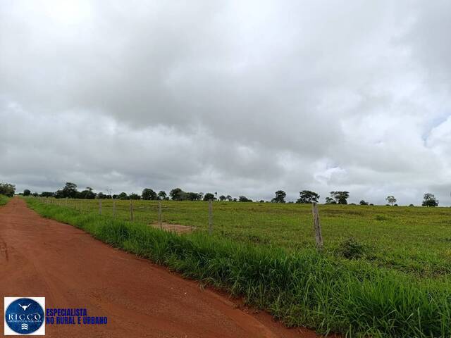 #4179 - Fazenda para Venda em Araguaçu - TO