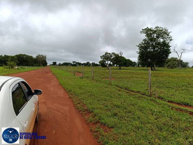 #4179 - Fazenda para Venda em Araguaçu - TO