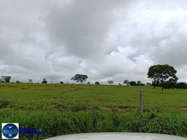 Fazenda para Venda em Araguaçu - 4
