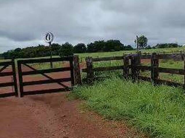 Fazenda para Venda em Araguaçu - 5