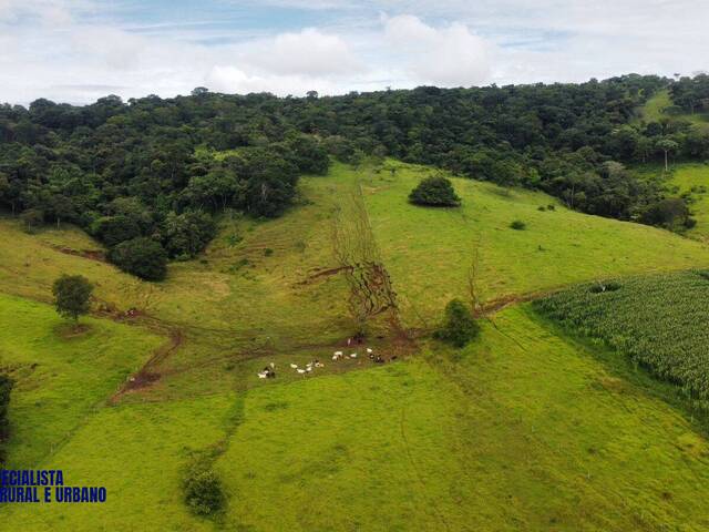 #4180 - Chácara para Venda em Itauçu - GO