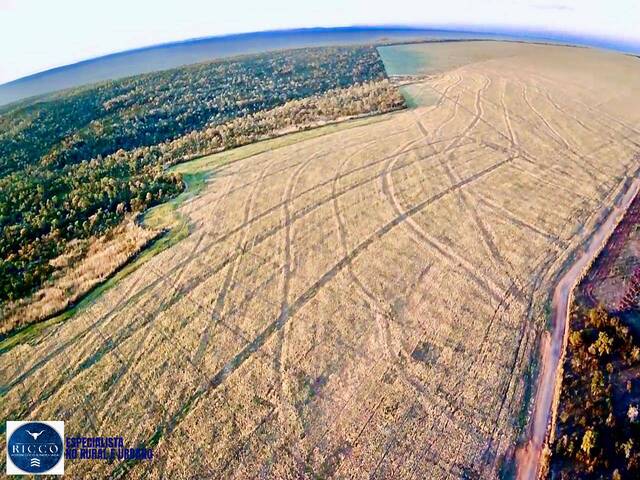 #4183 - Chácara para Venda em Baliza - GO