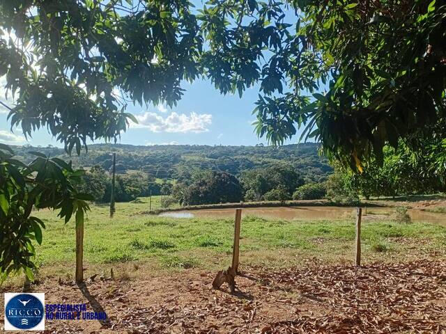 #4185 - Fazenda para Venda em Montes Claros de Goiás - GO