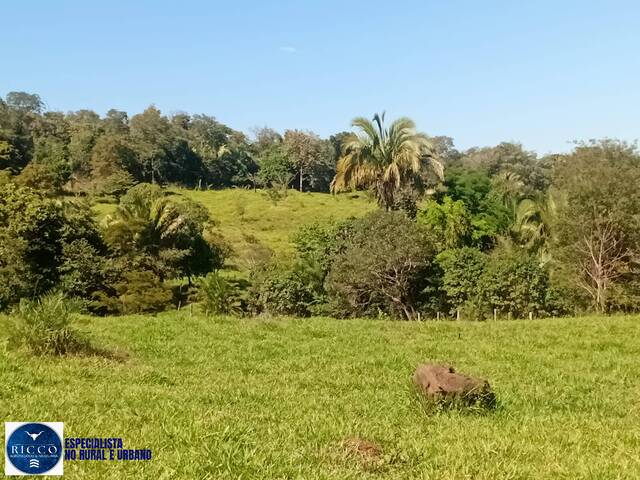#4185 - Fazenda para Venda em Montes Claros de Goiás - GO