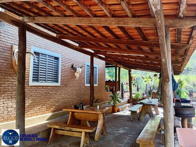 Fazenda para Venda em Montes Claros de Goiás - 4