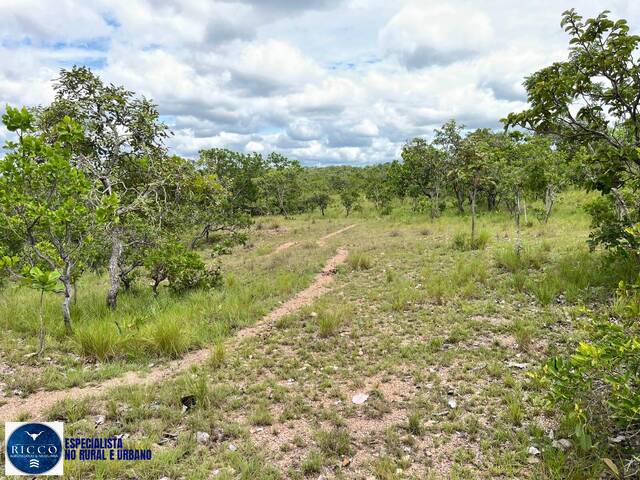 #4190 - Fazenda para Venda em Araguapaz - GO