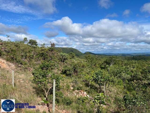 #4190 - Fazenda para Venda em Araguapaz - GO