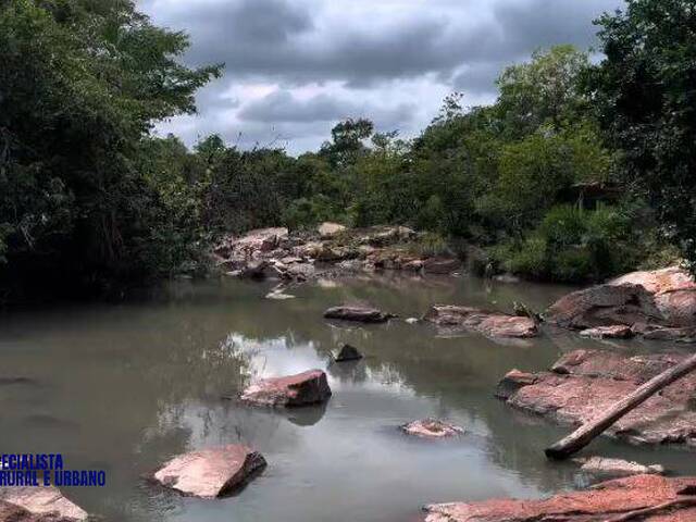 Fazenda para Venda em Araguapaz - 4