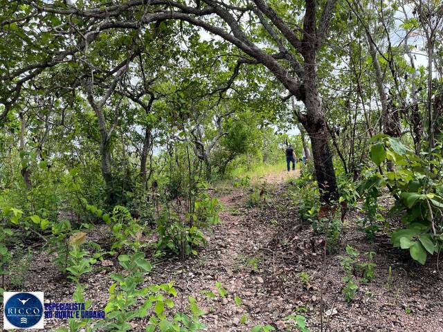 Fazenda para Venda em Araguapaz - 5