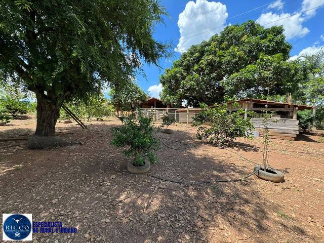 #4192 - Chácara para Venda em Americano do Brasil - GO