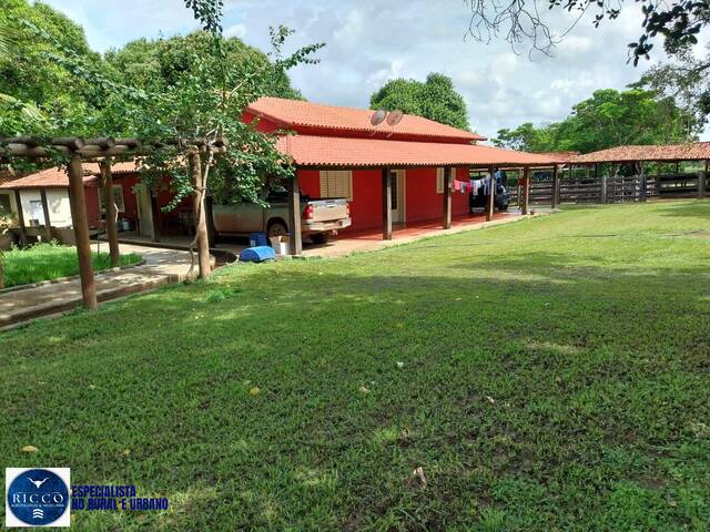 #3854 - Fazenda para Venda em Iporá - GO