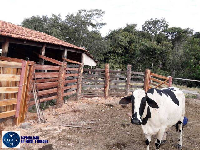 Chácara para Venda em Itapuranga - 5