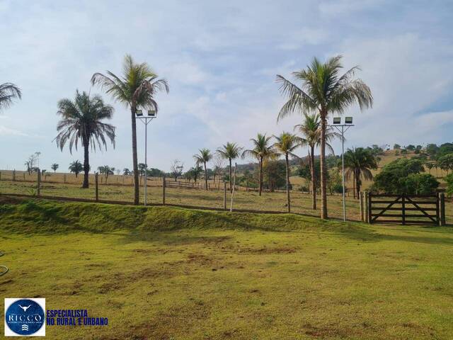 #4195 - Chácara para Venda em Goianira - GO